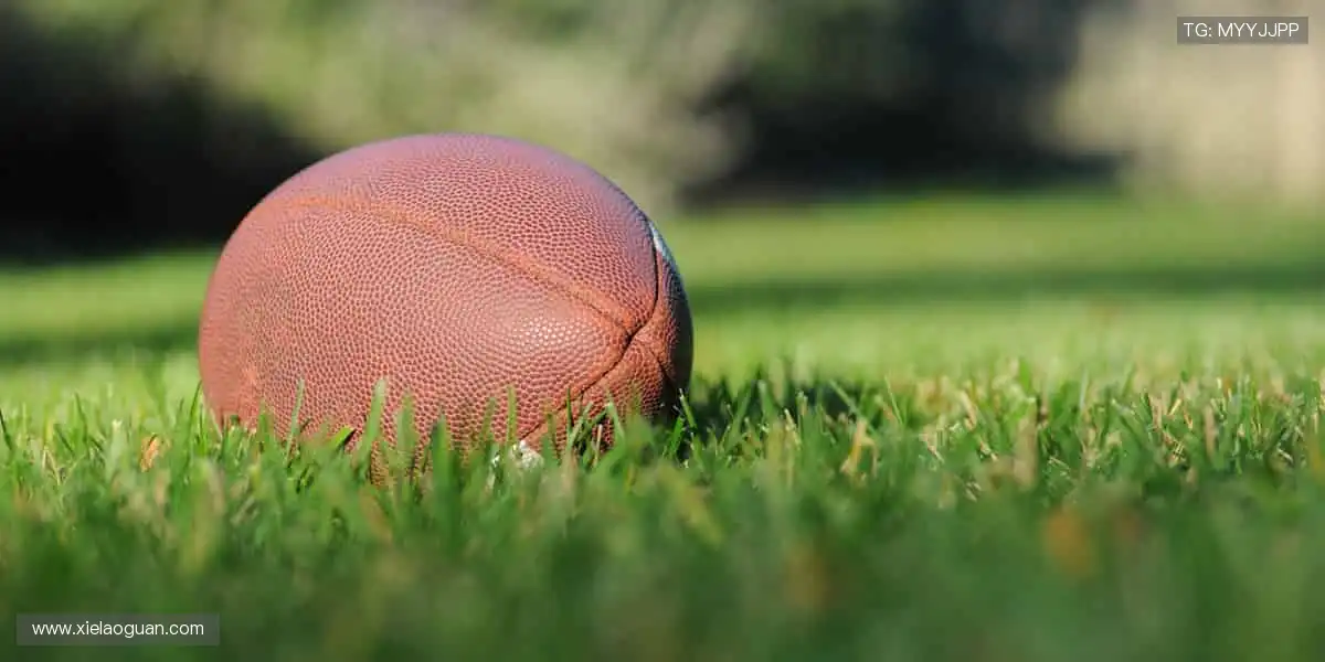 🎮电竞周边集结，释放指尖的力量！